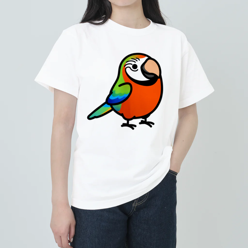 Cody the LovebirdのChubby Bird ハルクインコンゴウインコ ヘビーウェイトTシャツ