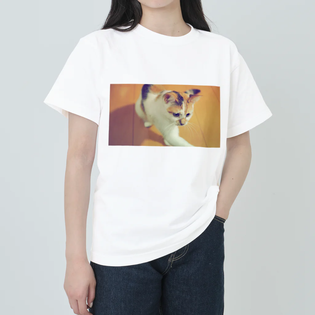 アムロンの三毛猫みぃトート ヘビーウェイトTシャツ