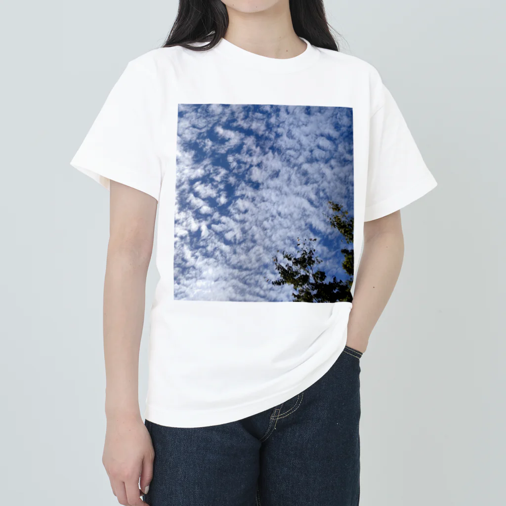 Lily bird（リリーバード）のいわし雲photo2 ヘビーウェイトTシャツ