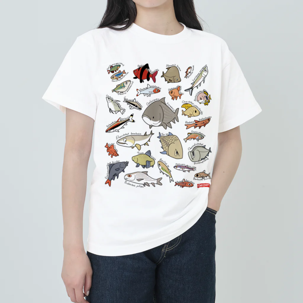 幻想水系branch　byいずもり・ようのVery Cyprinids!（international) Heavyweight T-Shirt