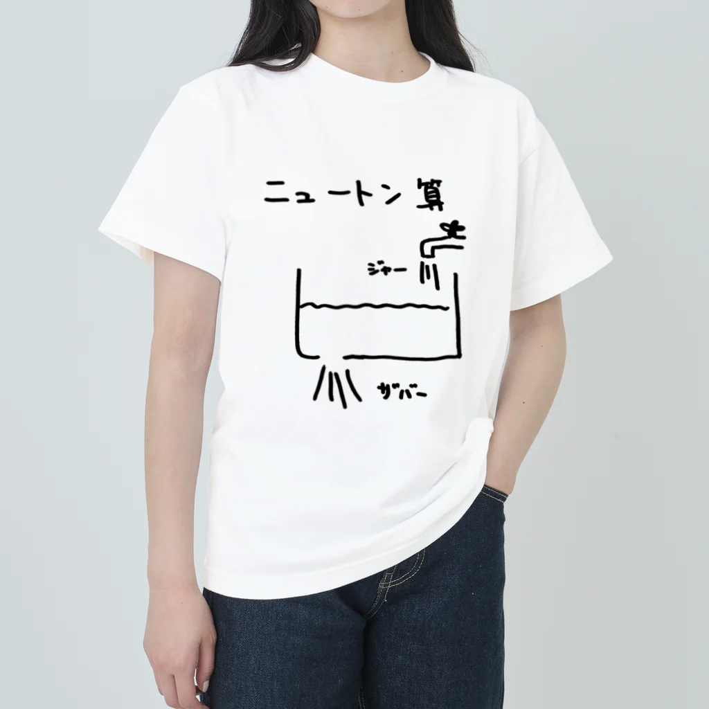 arareaのニュートン算 ヘビーウェイトTシャツ