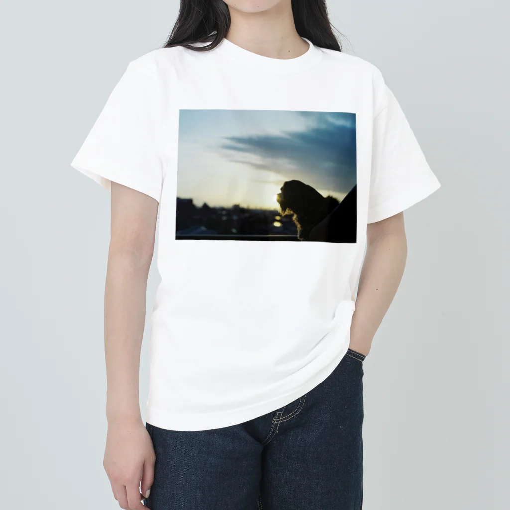 _ainalaend_の黄昏バロン　夕暮れ Heavyweight T-Shirt