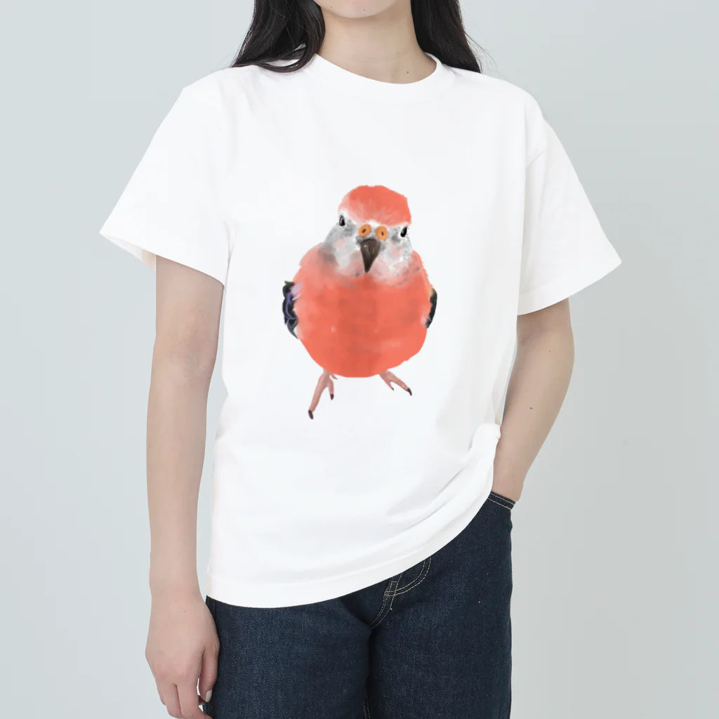 アキクサインコとウロコインコのアキクサインコ Heavyweight T-Shirt