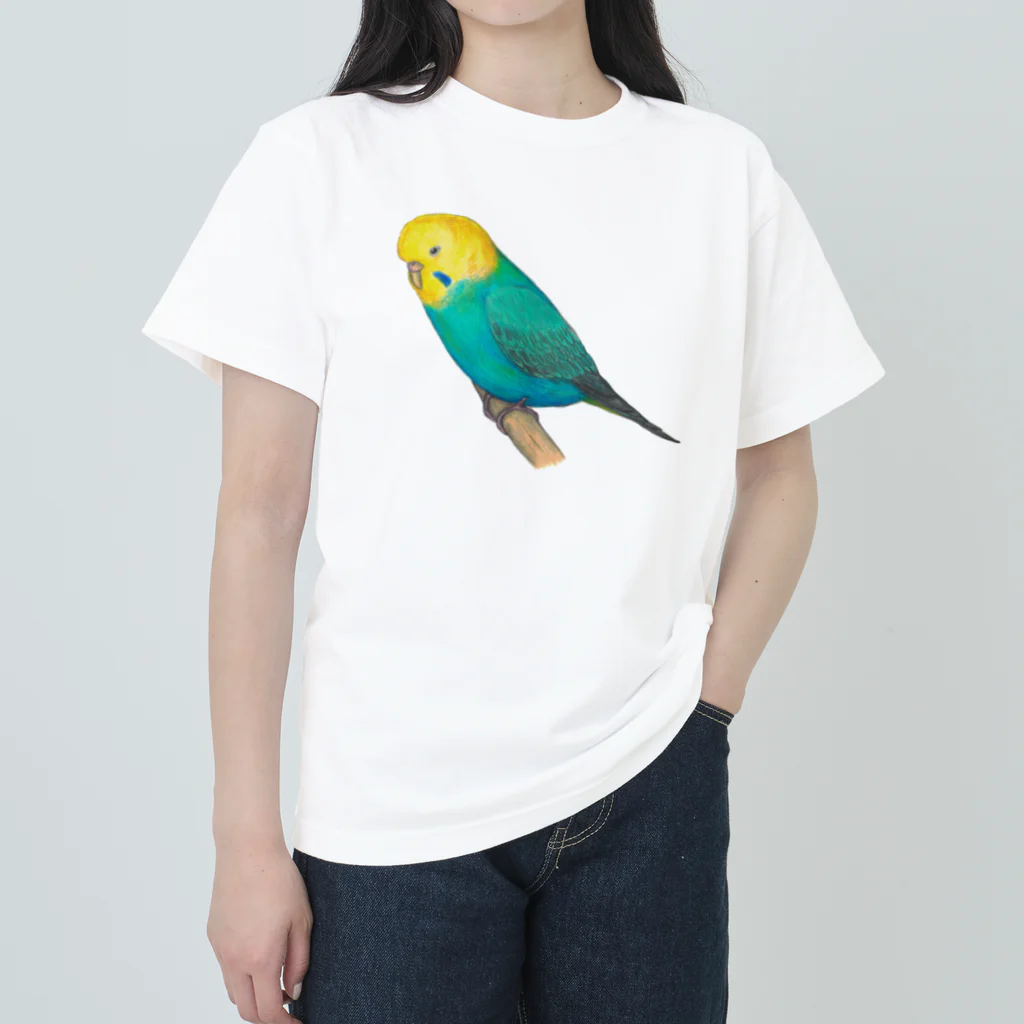 森図鑑の[森図鑑]セキセイインコレインボー ヘビーウェイトTシャツ