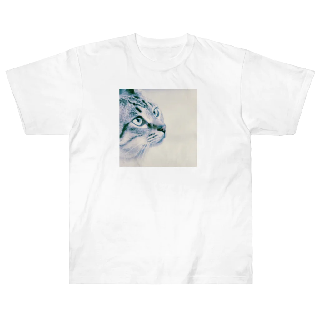 0isall_zoologicalの猫部2 Heavyweight T-Shirt