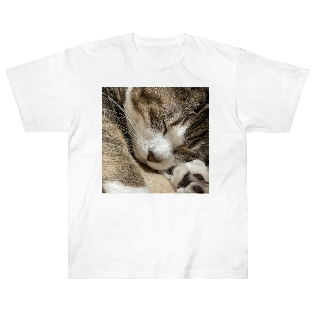 あゆのしおやきの猫(キジシロ) Heavyweight T-Shirt