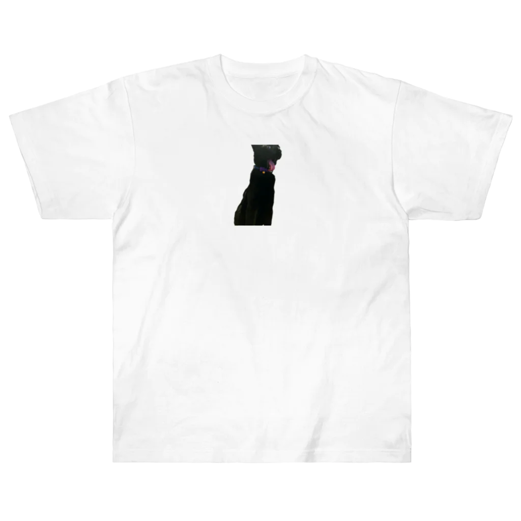 藤井猫のトイフォン ヘビーウェイトTシャツ