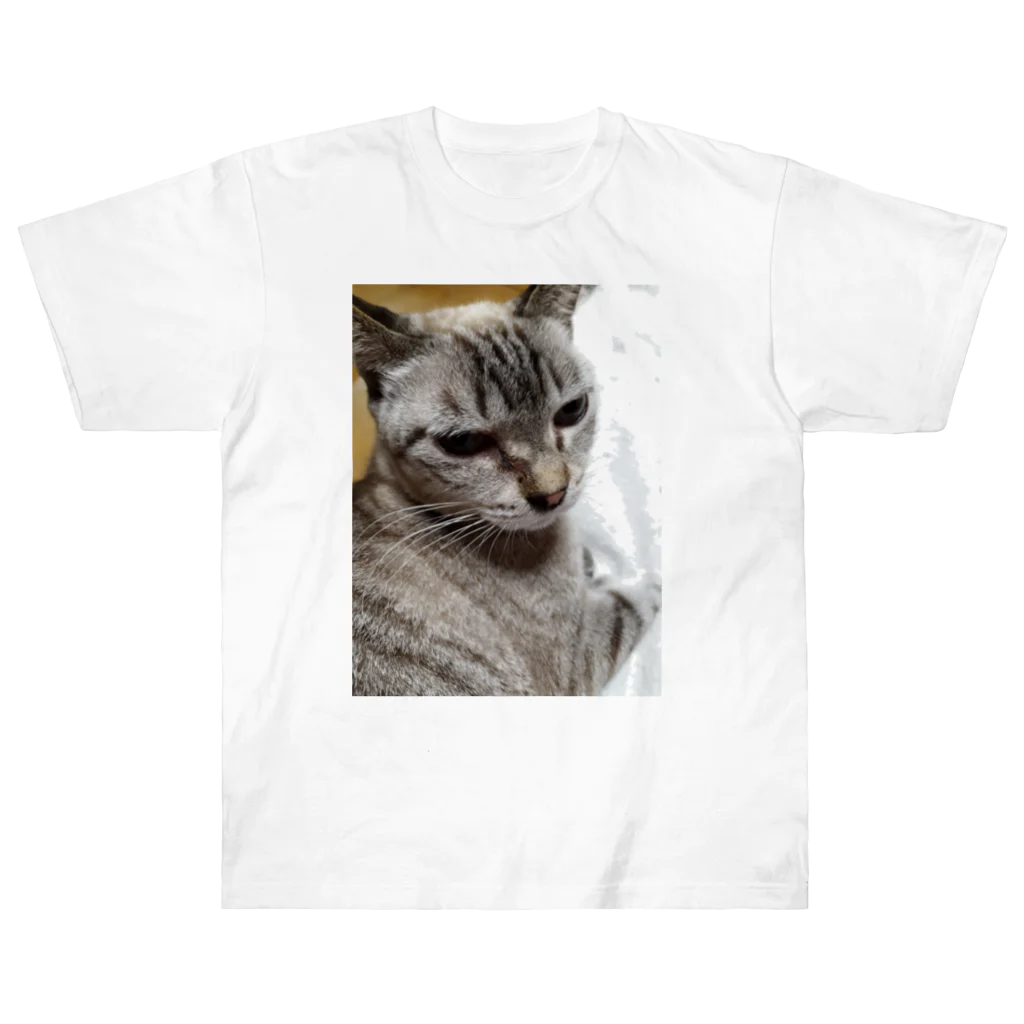 ねこの森でお散歩のさあ、モフりなさいよ。 Heavyweight T-Shirt