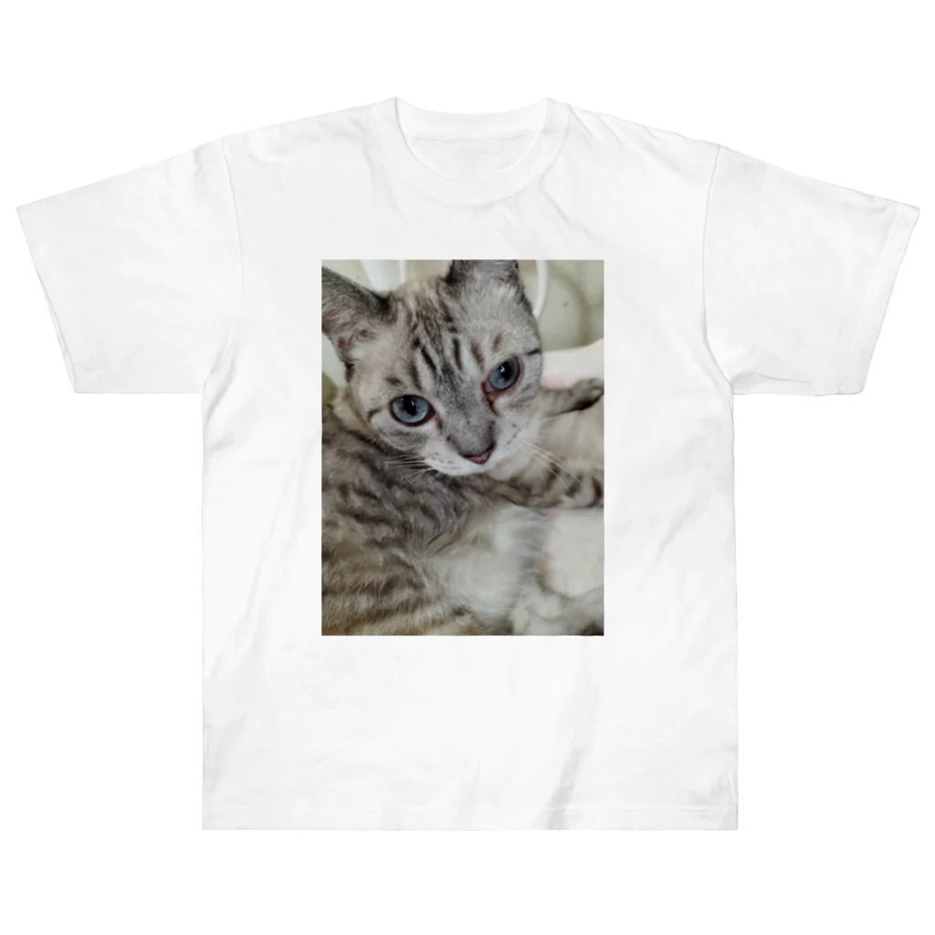 ねこの森でお散歩のフッワフワのシャムミックス Heavyweight T-Shirt