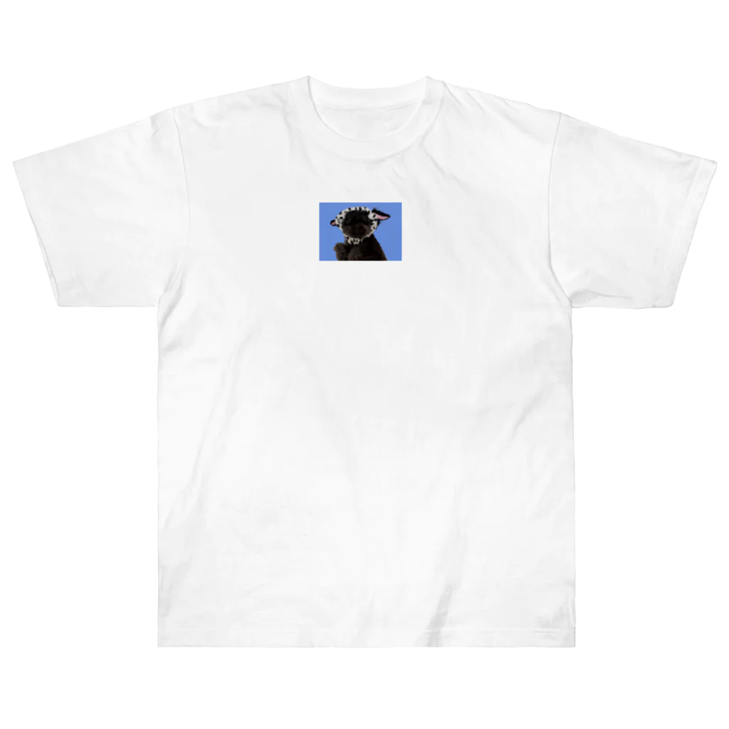 ito___desuのかわぽぽだるめしあん Heavyweight T-Shirt