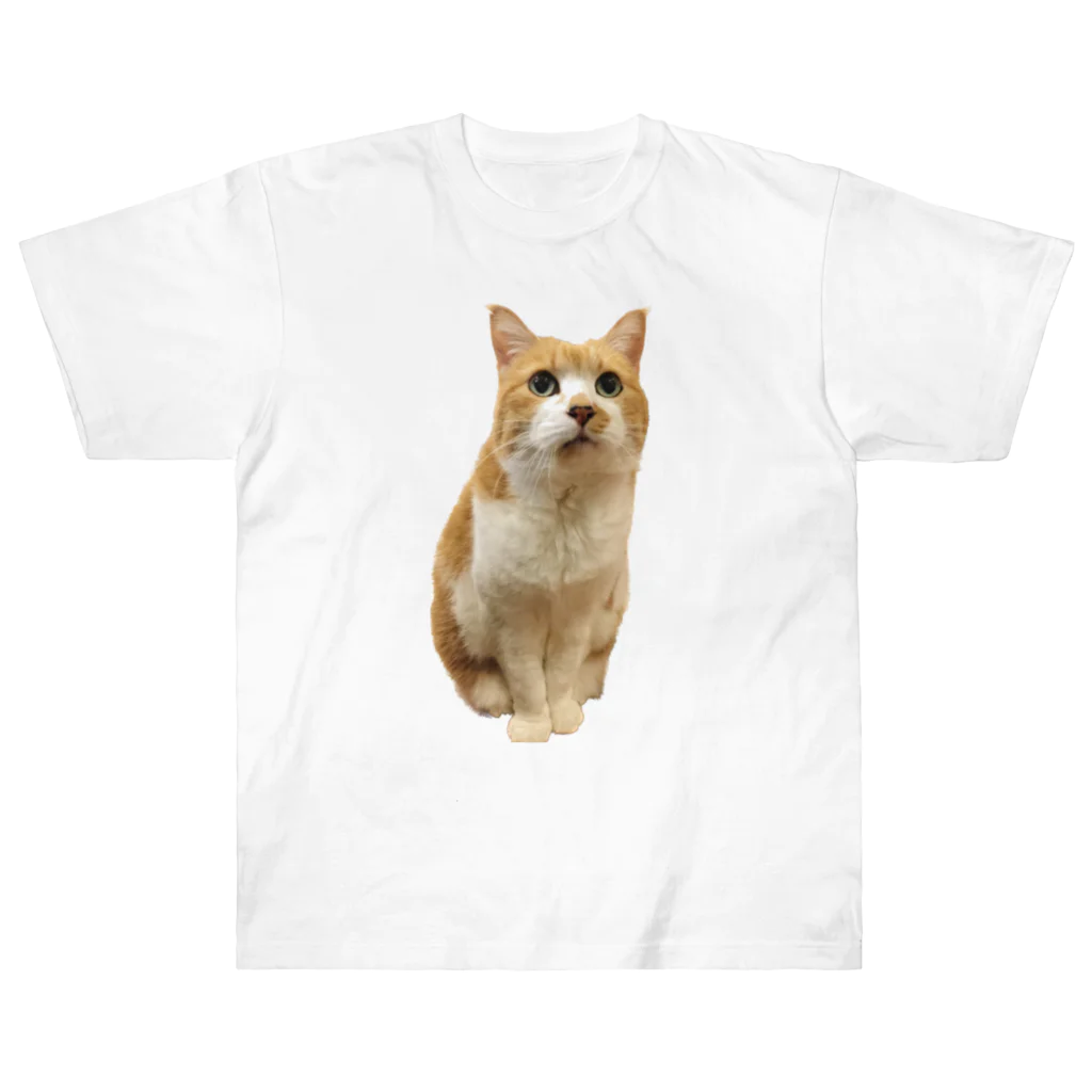 amikiの猫ちゃん ヘビーウェイトTシャツ