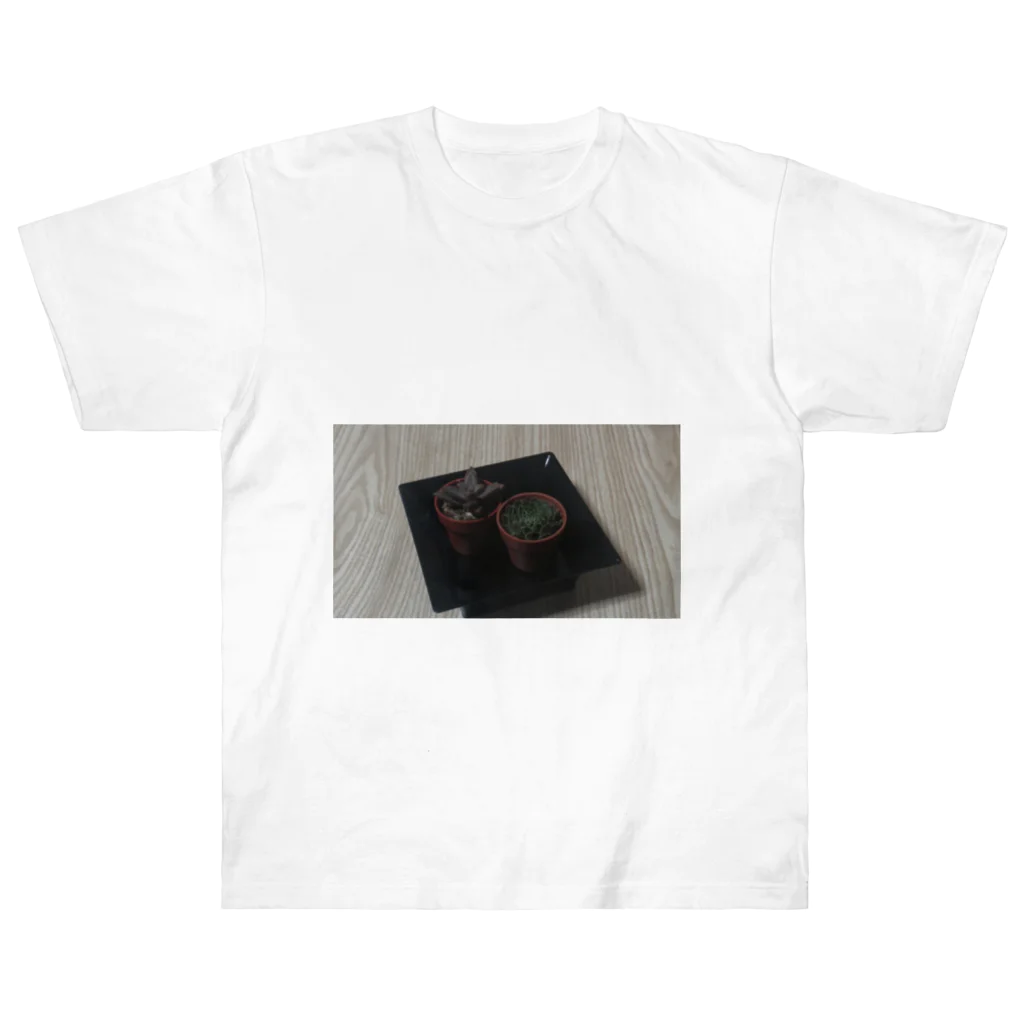 迷い猫の溜まり場のさぼてん Heavyweight T-Shirt