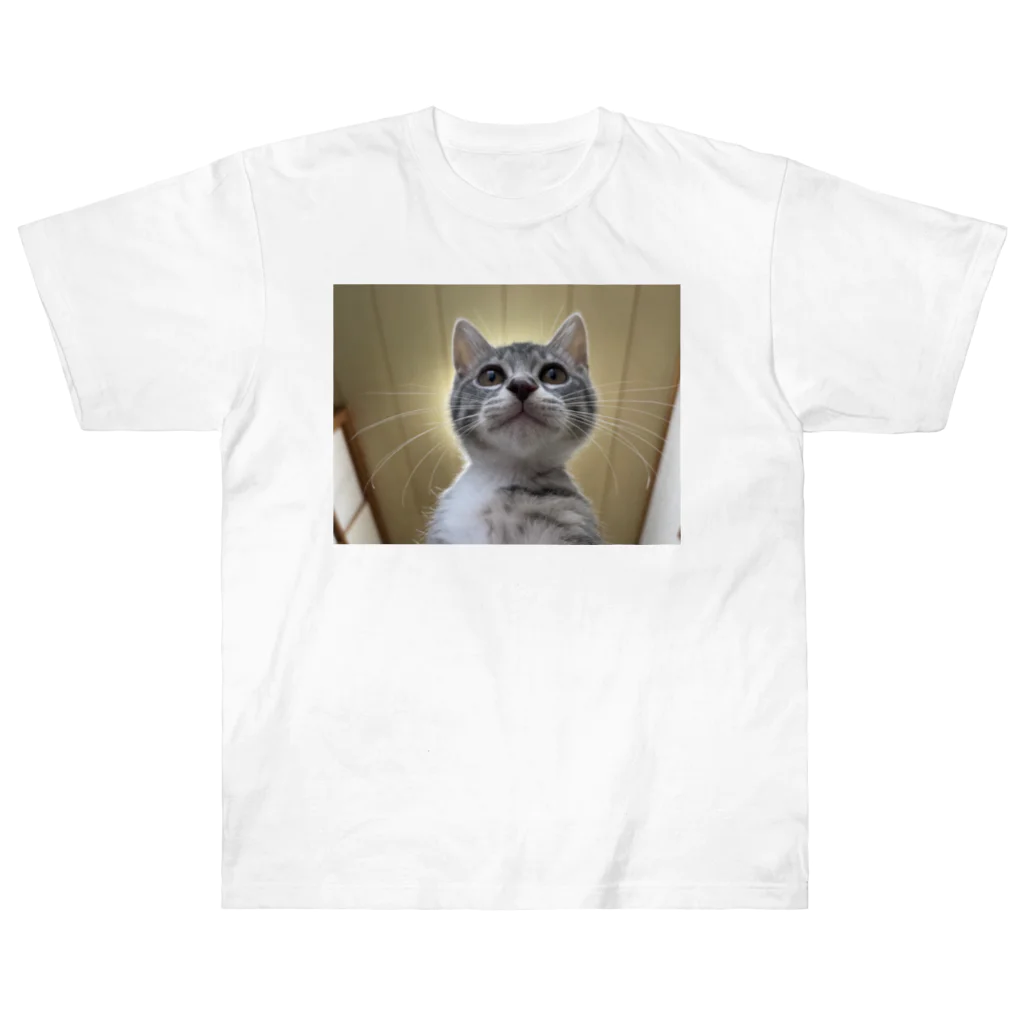 Vegeta_cat22の保護猫ベジータ　神 Heavyweight T-Shirt