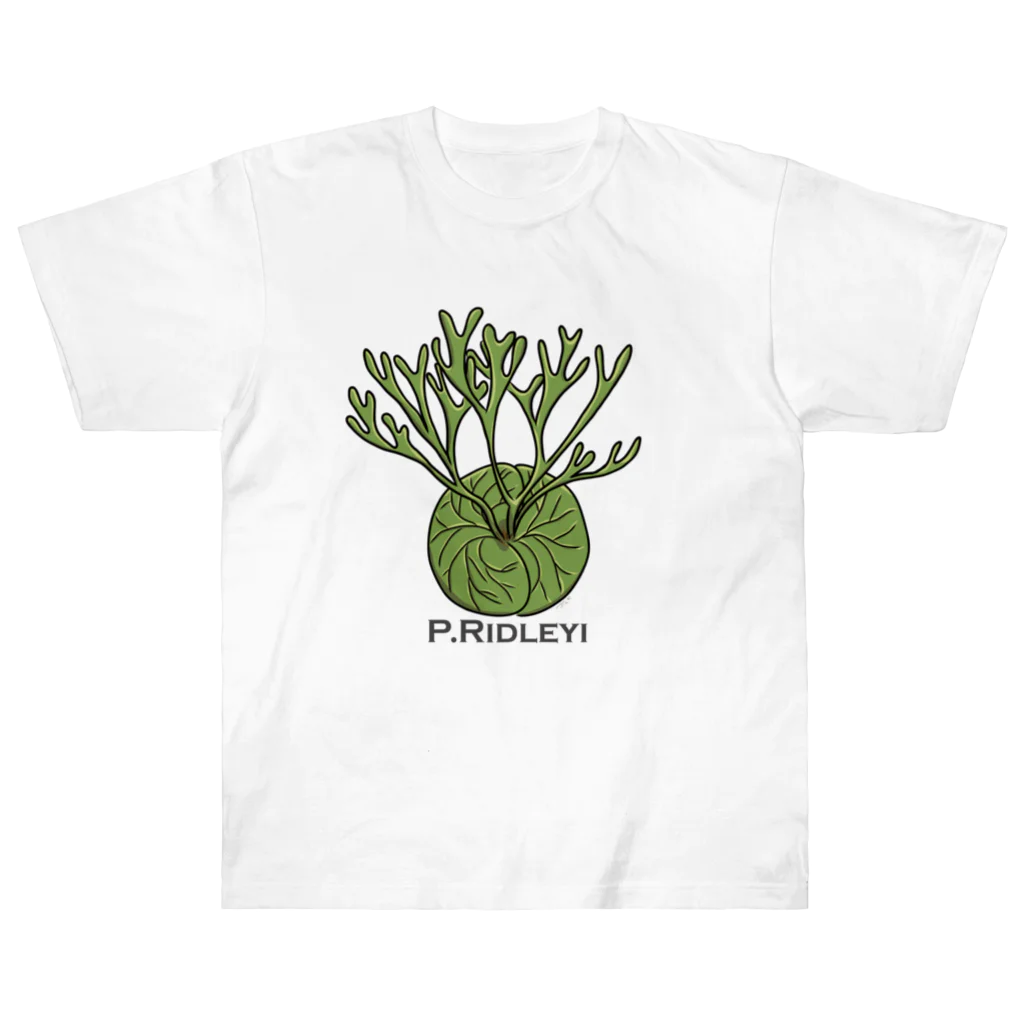 PLANTs　-プランツ-の「リドレE-2」 ヘビーウェイトTシャツ