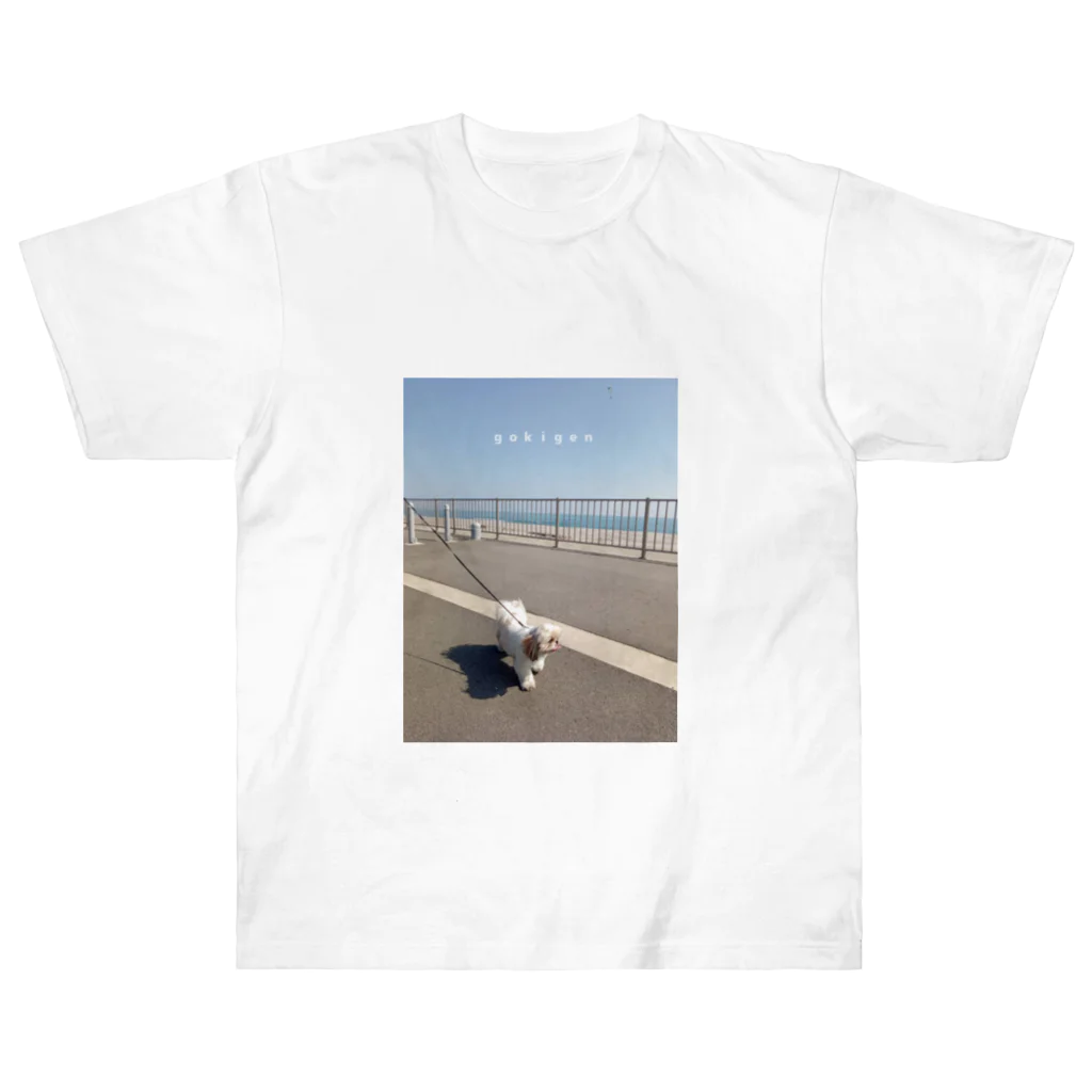 𝘢𝘬𝘢𝘯𝘦のｇｏｋｉｇｅｎ　ｏｓａｎｐｏ Heavyweight T-Shirt