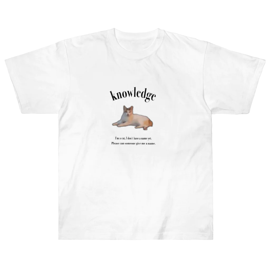 knowledgeのI don't have a name yet. Heavyweight T-Shirt