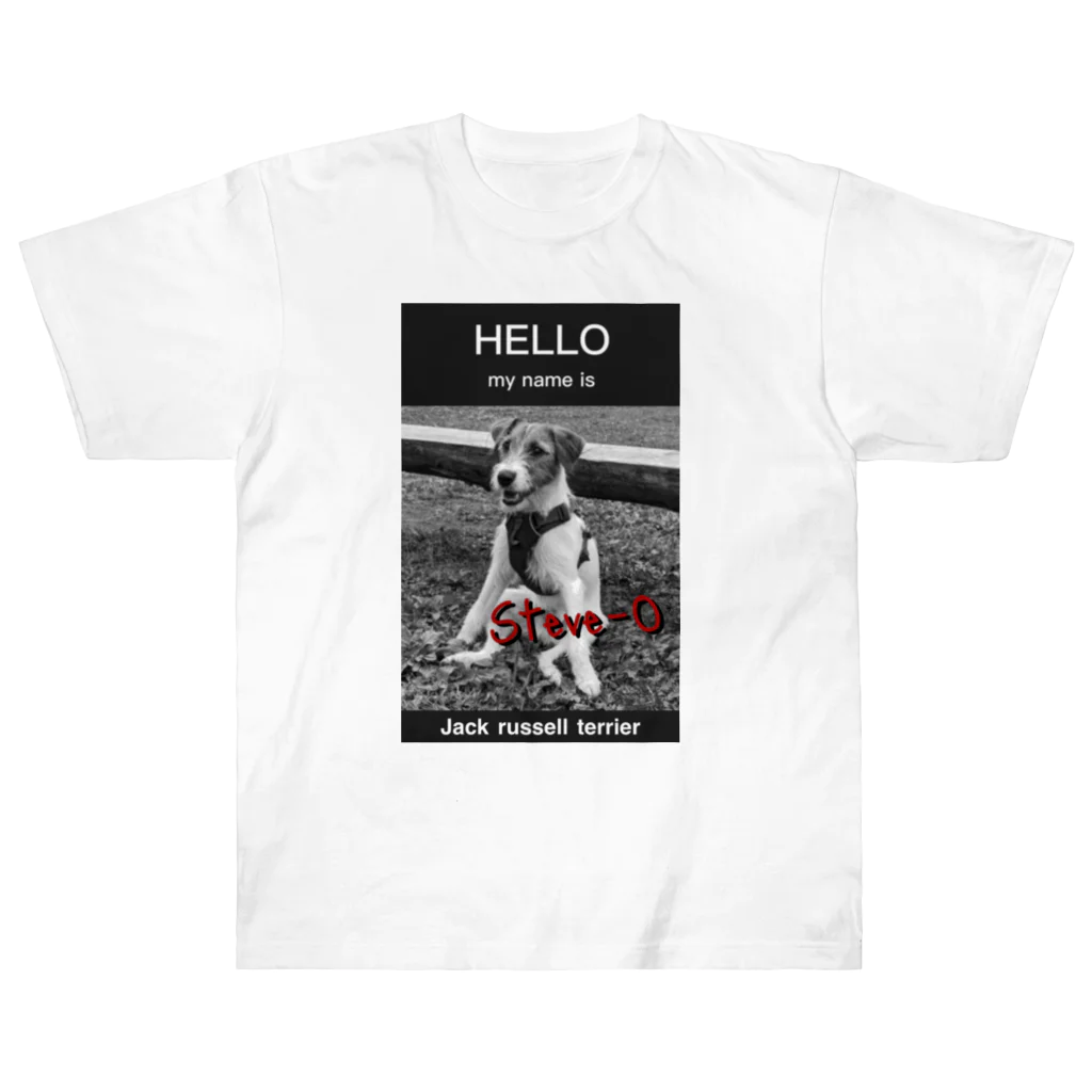 StekeyのMy name is Steve-O Heavyweight T-Shirt