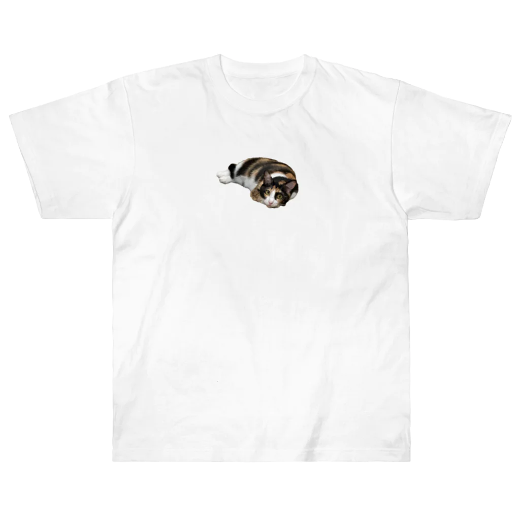 ロムー公式二次創作物販売所の大人気のロムザラシシリーズ ヘビーウェイトTシャツ