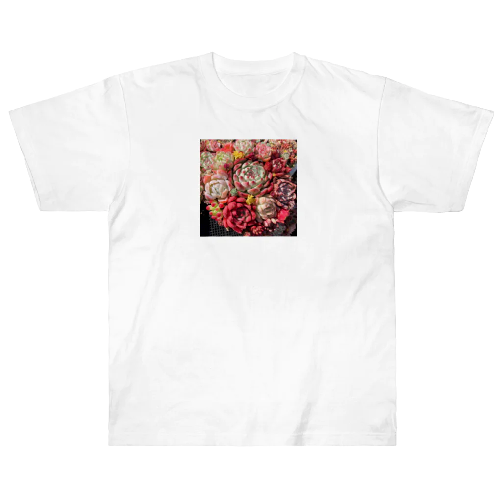 Echeveria_Masterの華やかなエケベリア Heavyweight T-Shirt