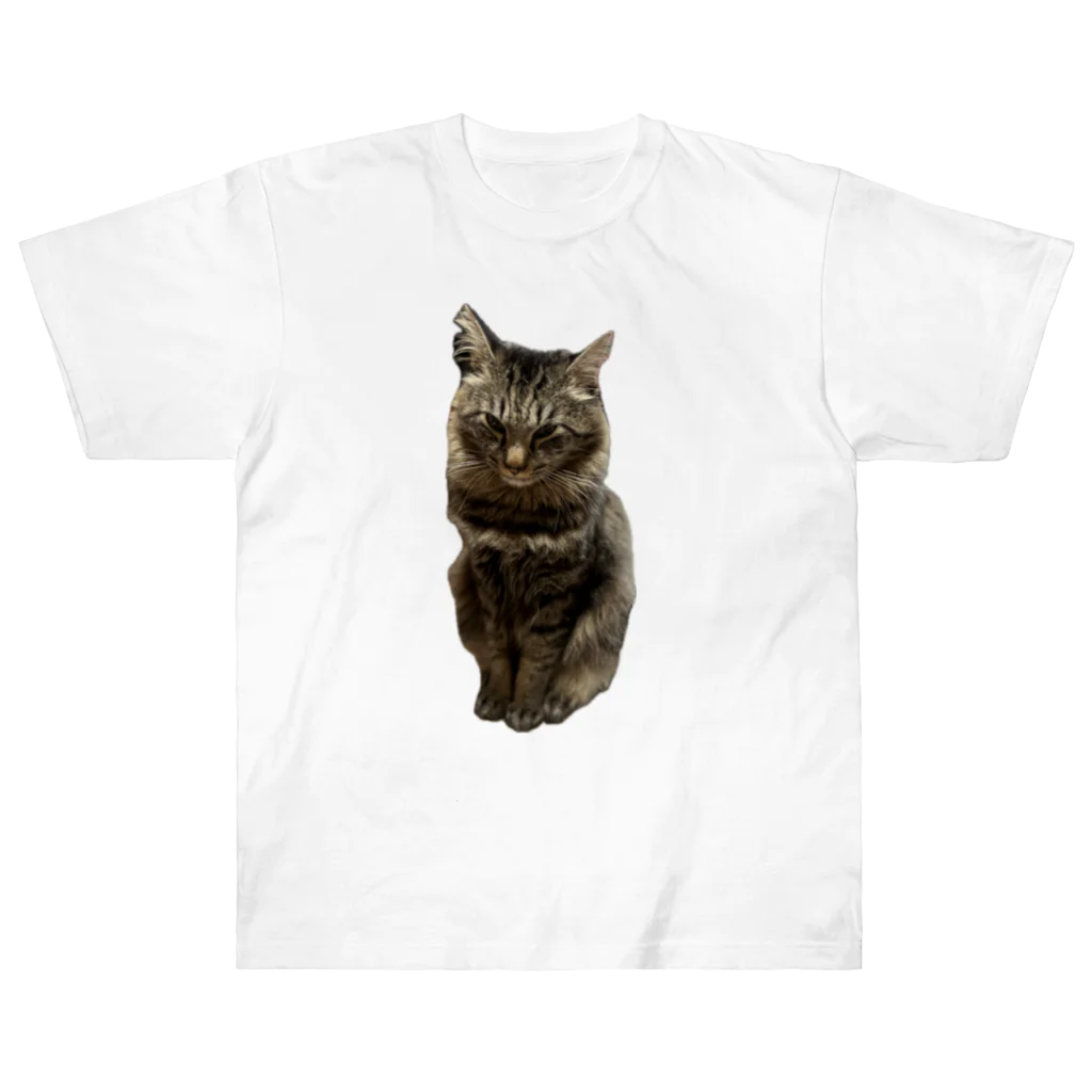 lovely-petsのつり目の雷くん Heavyweight T-Shirt