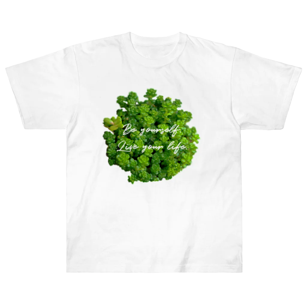 耀い気分の鮮やか多肉植物 ヘビーウェイトTシャツ