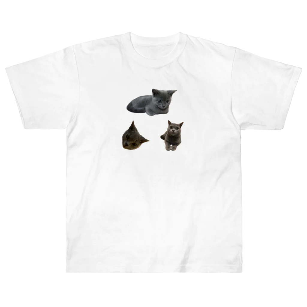 うちの猫ちゃんたちのるうなトライアングル♻️_No.1 Heavyweight T-Shirt