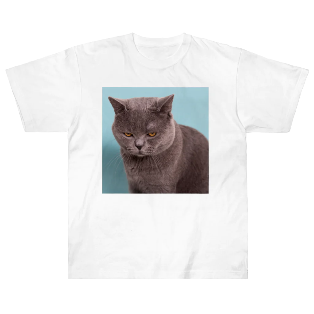 アニマル宮殿の睨みネコ ヘビーウェイトTシャツ