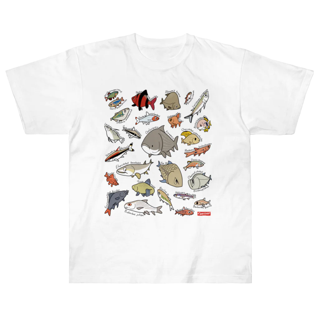 幻想水系branch　byいずもり・ようのVery Cyprinids!（international) ヘビーウェイトTシャツ