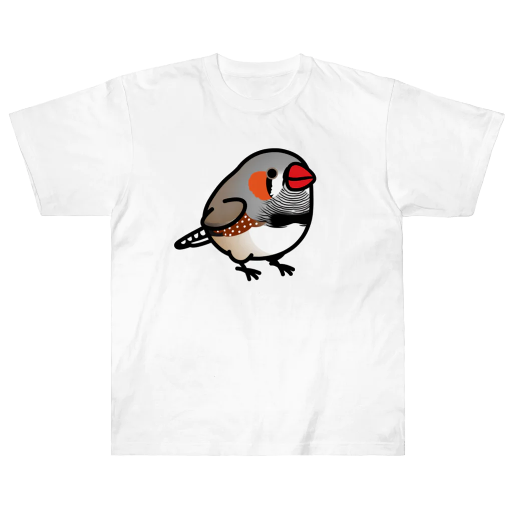 Cody the LovebirdのChubby Bird キンカチョウ ヘビーウェイトTシャツ