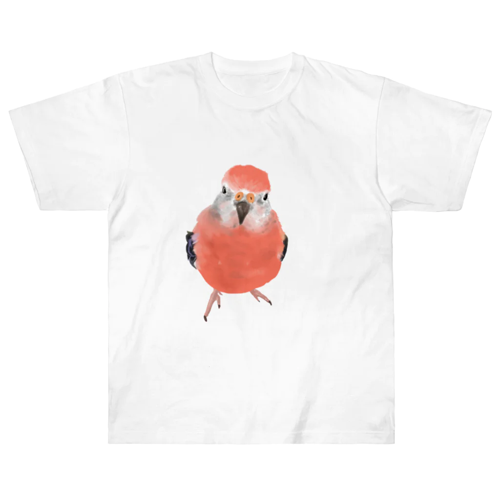 アキクサインコとウロコインコのアキクサインコ Heavyweight T-Shirt