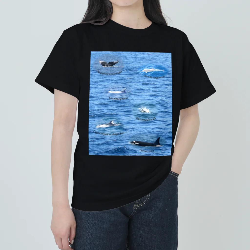L_arctoaの船上から見た鯨類(1) ヘビーウェイトTシャツ