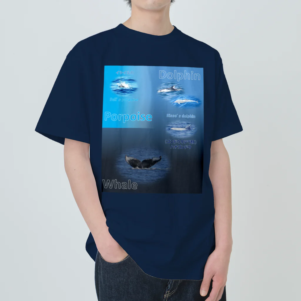 L_arctoaのイルカとクジラの違い Heavyweight T-Shirt