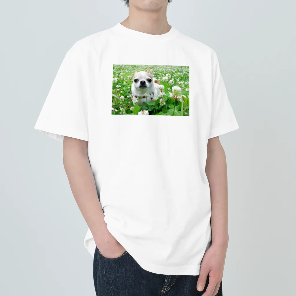 akane_art（茜音工房）のカラフルチワワ（クローバー） Heavyweight T-Shirt