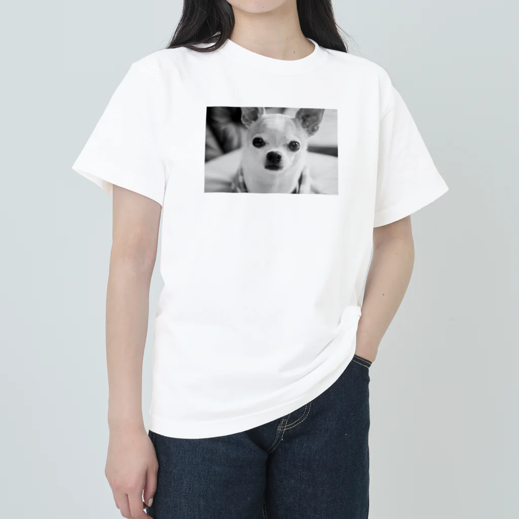 akane_art（茜音工房）のモノクロチワワ（おすまし） Heavyweight T-Shirt