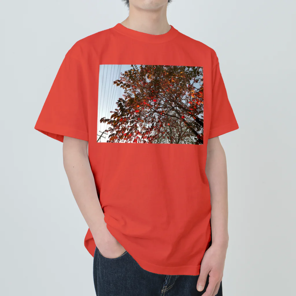 空屋　sorayakusakaの201910181619002　桜の紅葉 Heavyweight T-Shirt