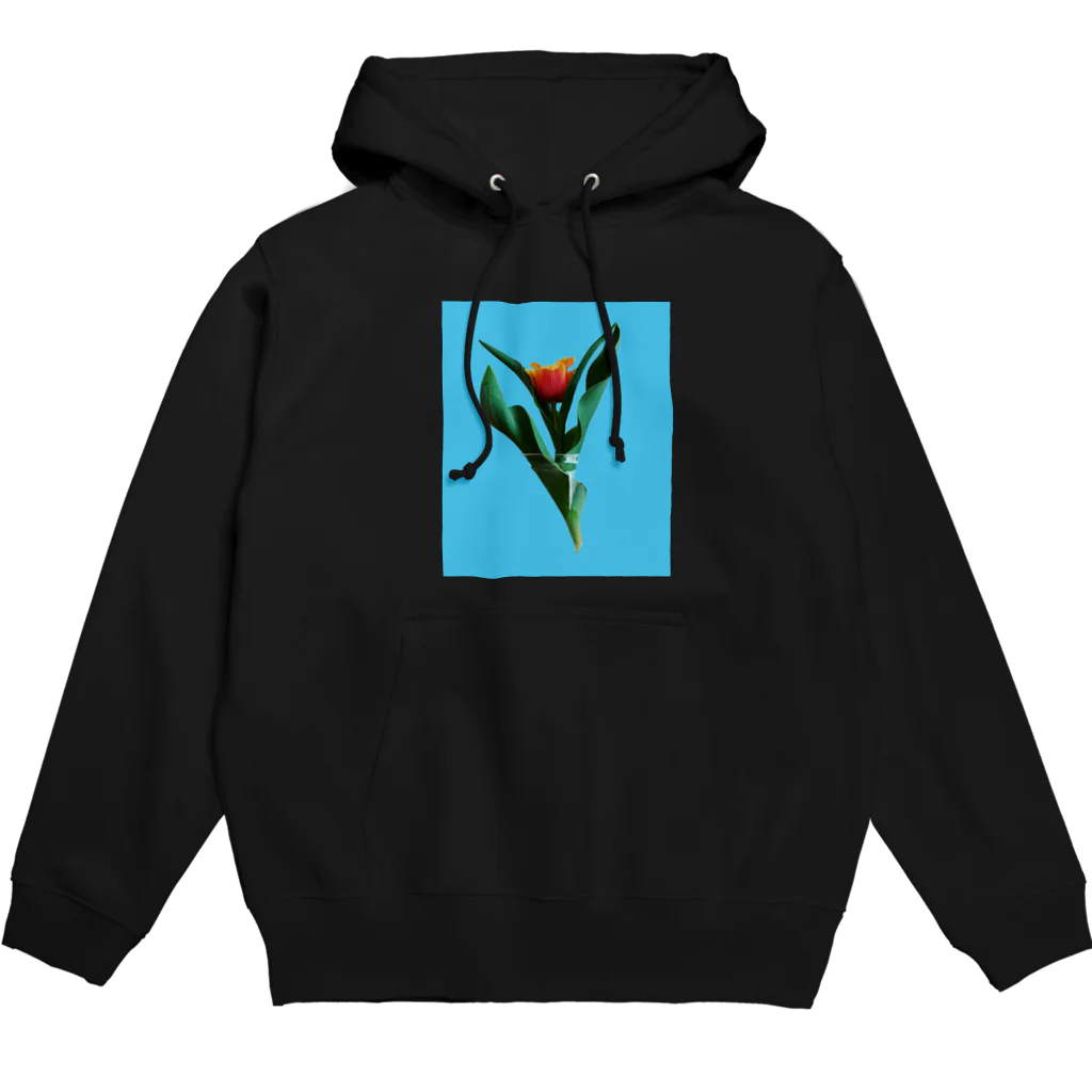 CALAKUEN(SOIL)のTulipa cv. lambada Hoodie