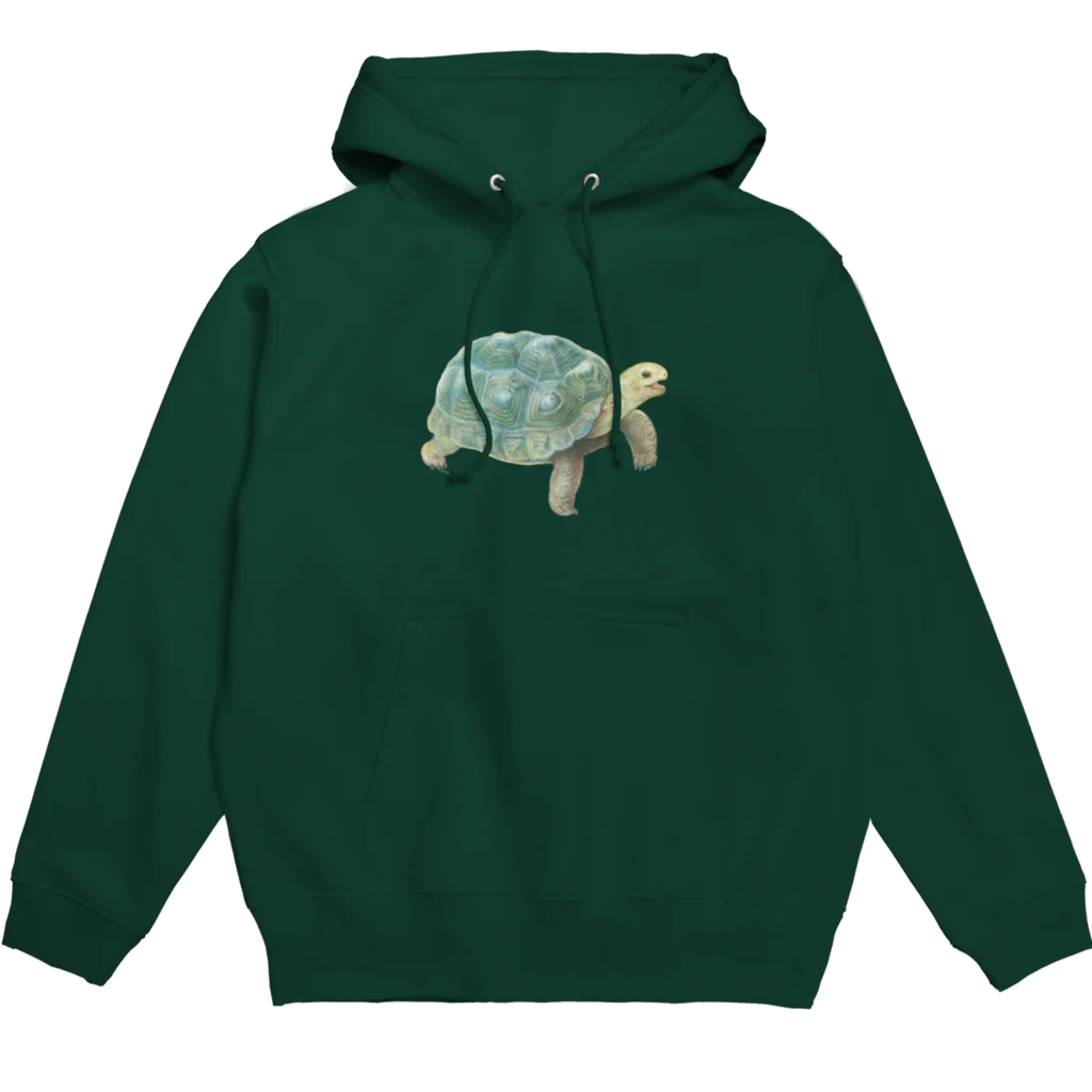 めろんぽっぷのお店だよの踏みだせ、アルダブラゾウガメ。 Hoodie