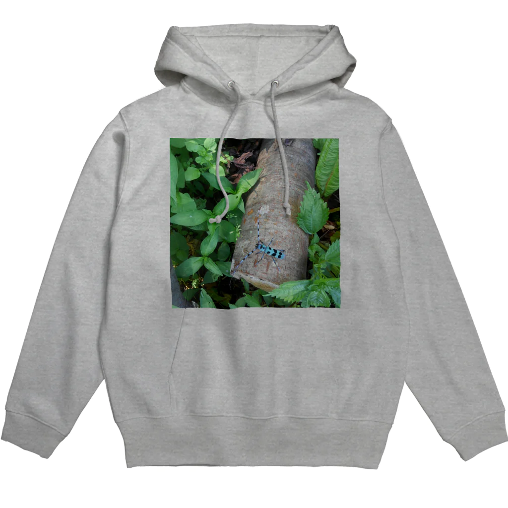 ミクロのルリボシカミキリくん Hoodie