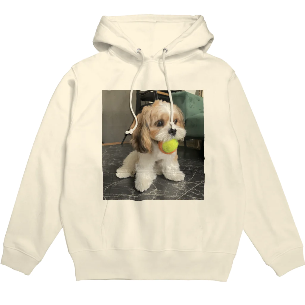 Royroyのテニスボール🎾ロイロイ🐶 Hoodie