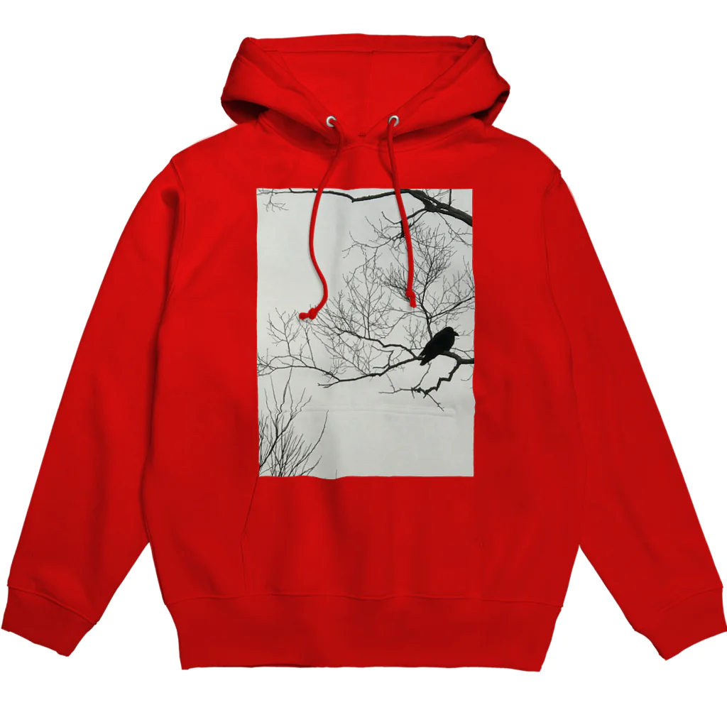 空屋　sorayakusakaの202012300958002　寒烏 Hoodie