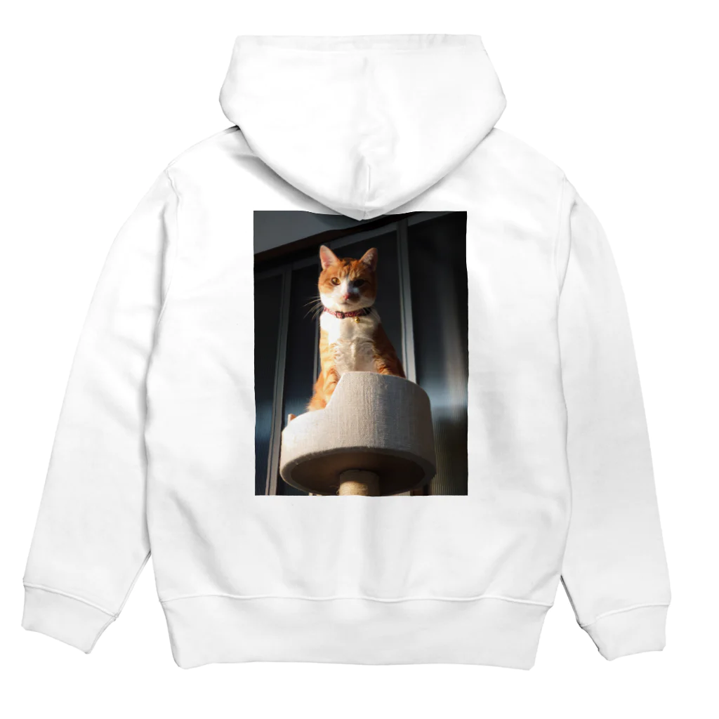 KAIの夕焼け猫 Hoodie:back