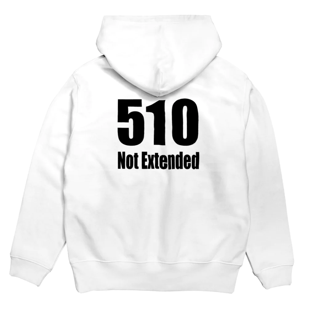 Error Correctionの510 Not Extended パーカーの裏面