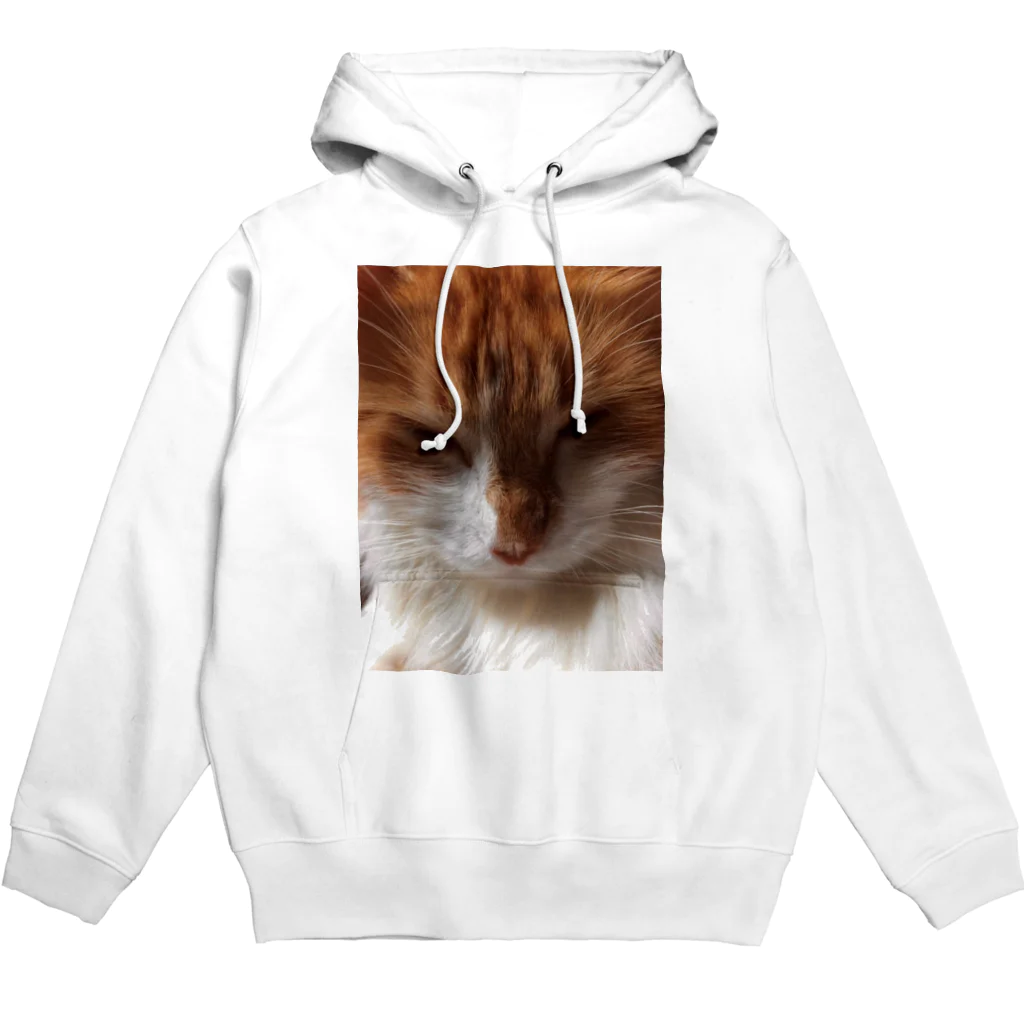 30002500の狸寝入りの術🐈 Hoodie