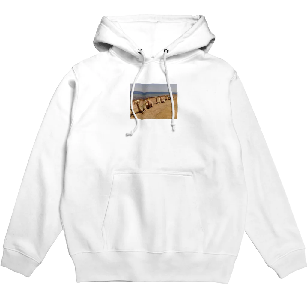 CRUISE SHIPのCamel Arrangements Hoodie