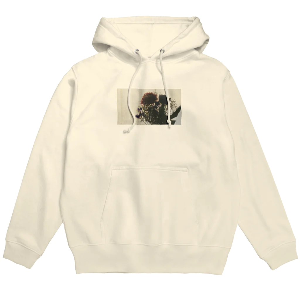 有里まりなの夕暮れのドライフラワー Hoodie