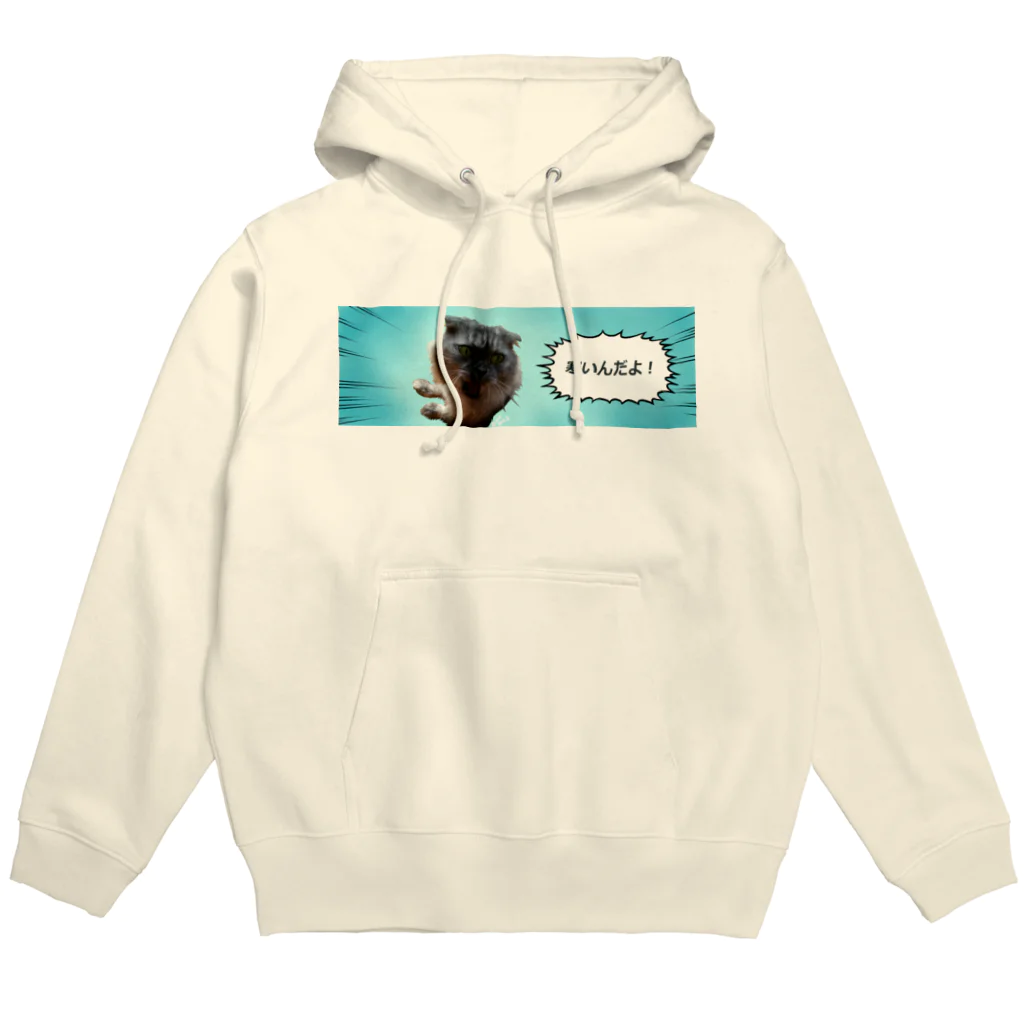 木ノ下商店の寒いんだよっ Hoodie