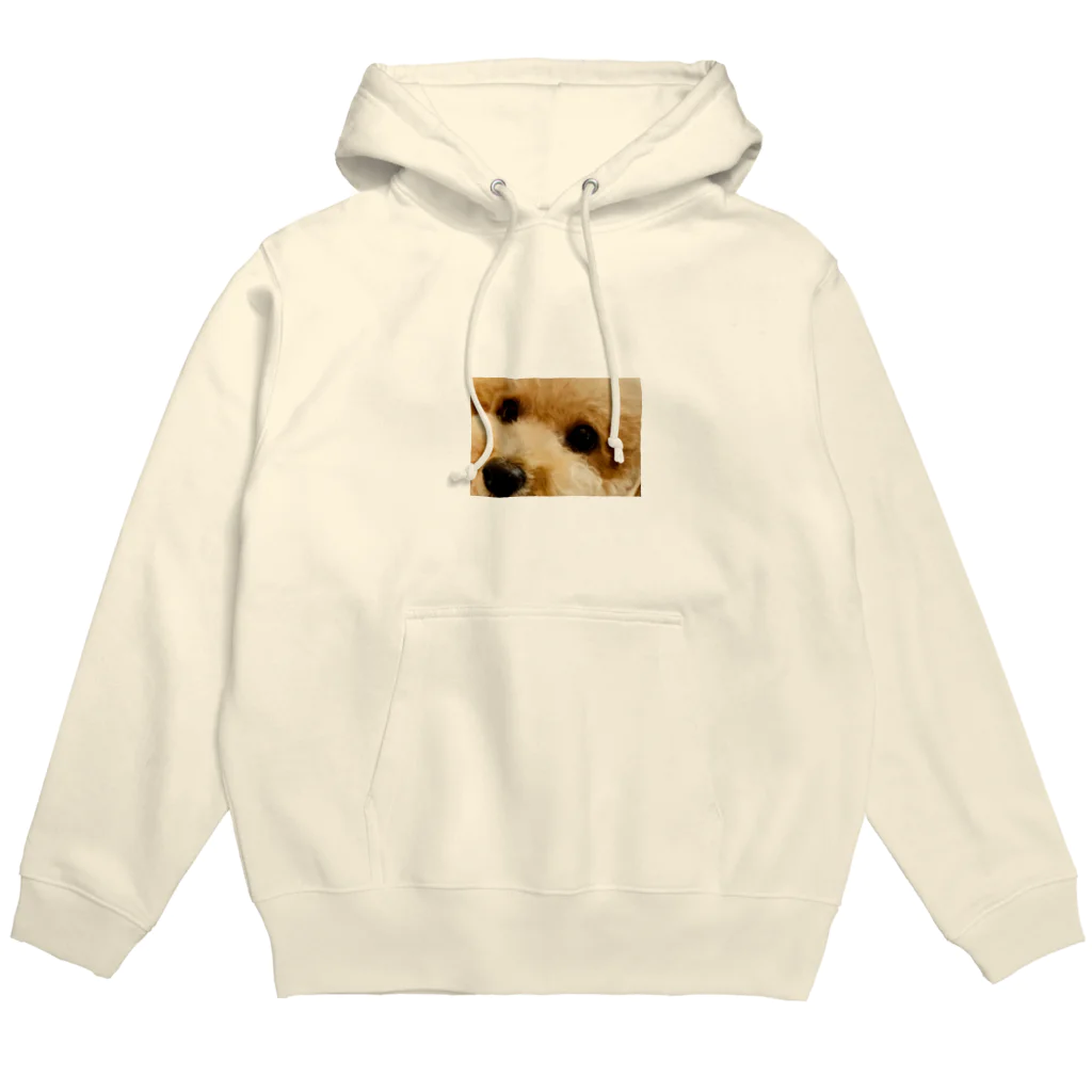 トイプードル　ここちゃんのプードルここちゃん Hoodie