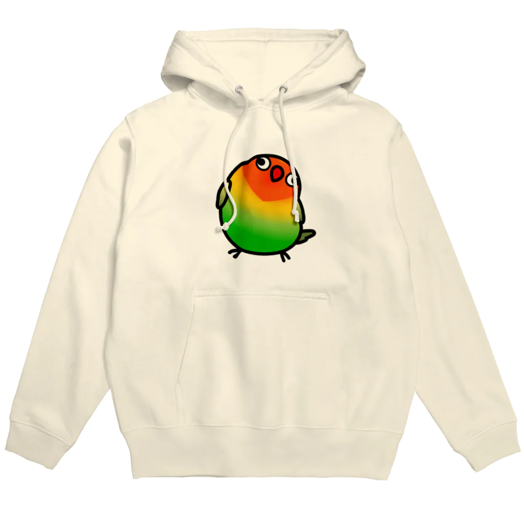 Cody the LovebirdのChubby Bird ルリゴシボタンインコ Hoodie