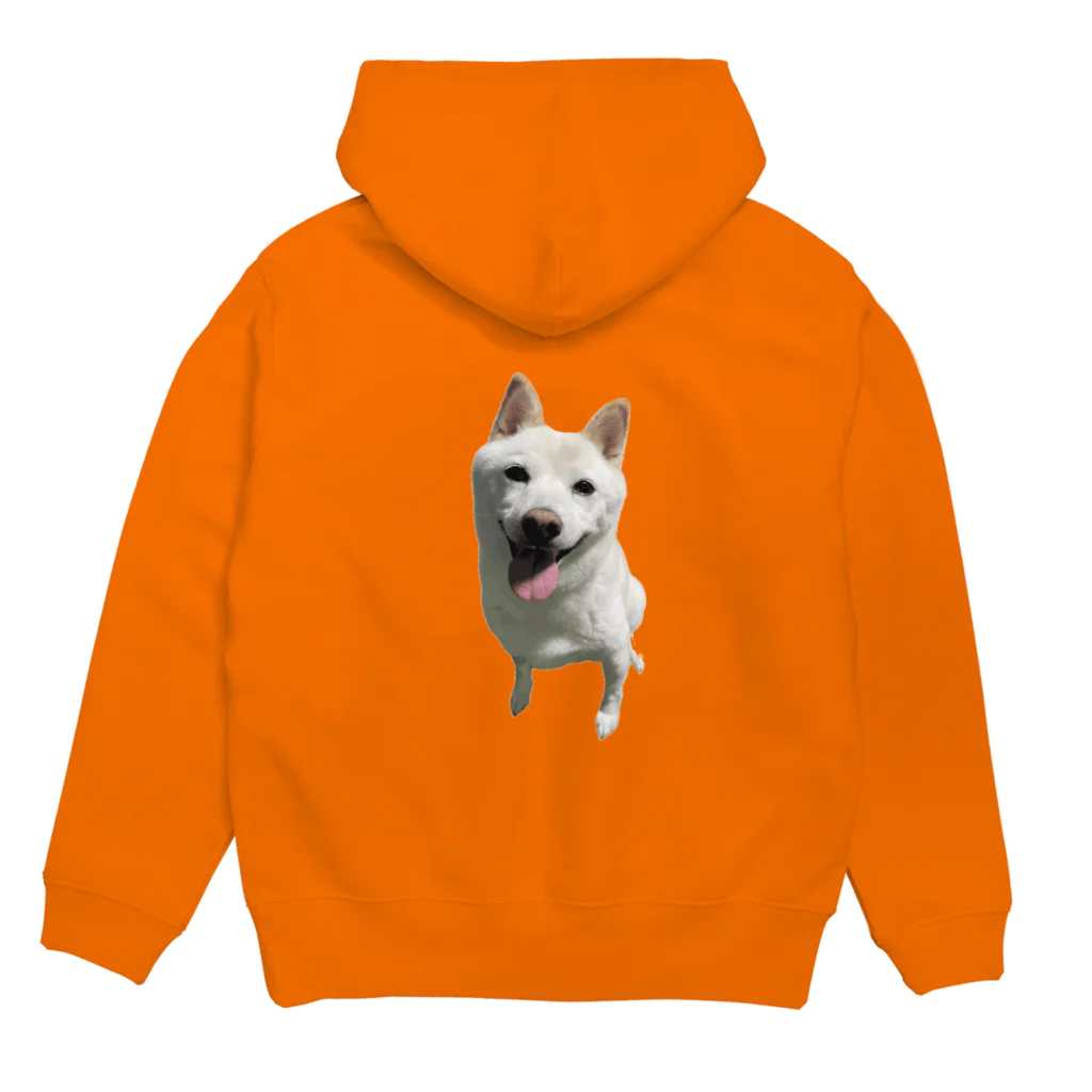 白柴犬 小梅の小梅っちを着る Hoodie:back