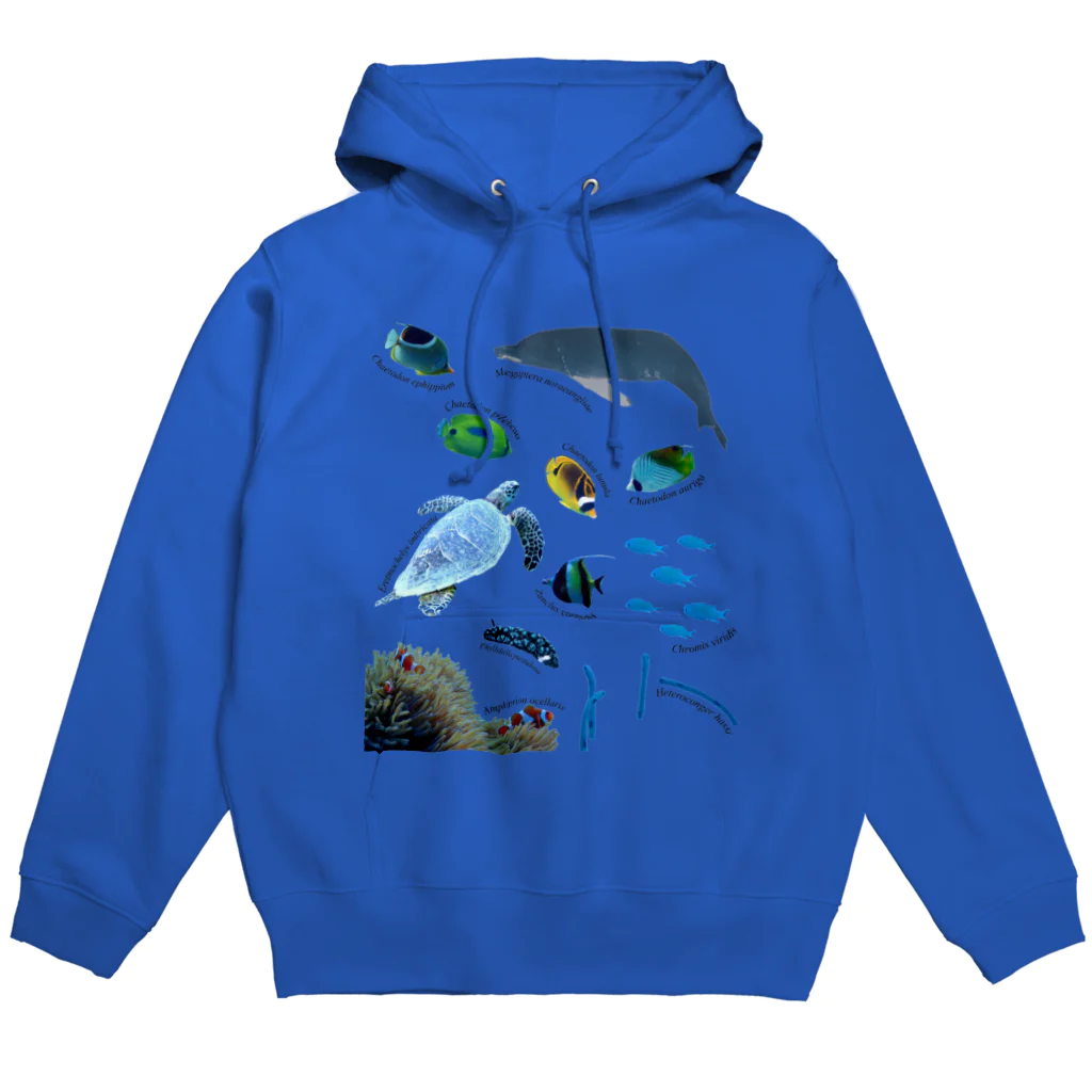 L_arctoaの沖縄の海の生き物 Hoodie